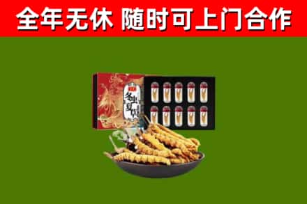 温宿烟酒回收冬虫夏草礼盒.jpg