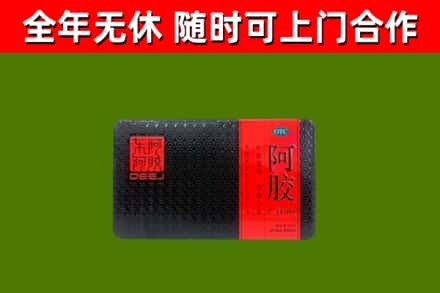 温宿回收阿胶