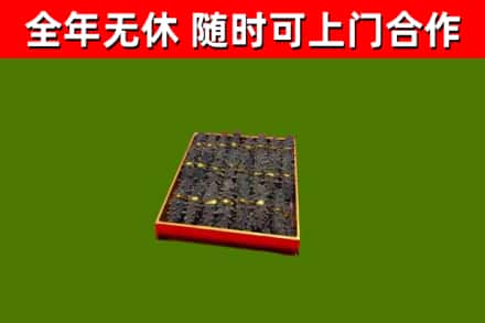 温宿回收海参