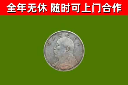 温宿回收袁大头